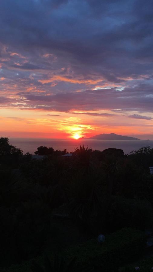 Villa Damecuta B&B Anacapri  Exterior foto